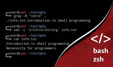 Shell Programming - A necessity for all Programmers ed_20259428