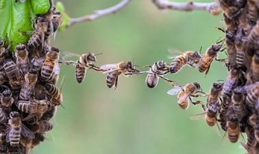 Connection and Community ed_20259934