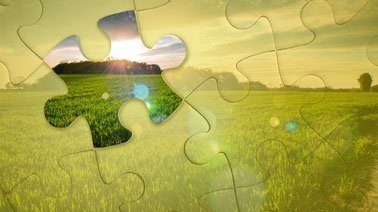 Sustainable Agri-food Marketing ed_20259956