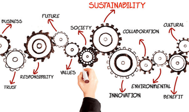 Introduction to Corporate Sustainability, Social Innovation and Ethics ed_20259987