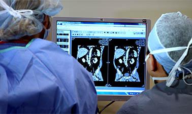 Improving Global Health: Focusing on Quality and Safety ed_20260131