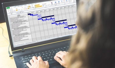 Intro Course: Spreadsheets and Statistics ed_20260184
