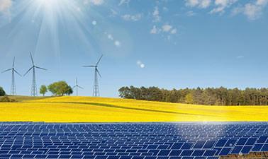 Introduction to Environmental Science ed_20260234