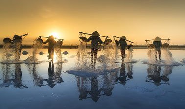 Water: Addressing the Global Crisis ed_20260263