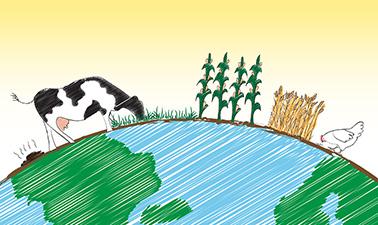 Sustainable Food Security: The value of systems thinking ed_20260279