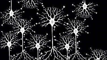 Fundamentals of Neuroscience, Part 2: Neurons and Networks. ed_20260284