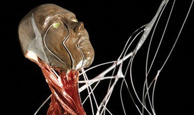 Robotics Foundations I - Robot Modeling ed_20260289