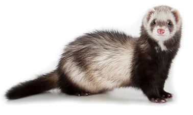 Proposal Planning for Grant-Funded Projects ed_20260316