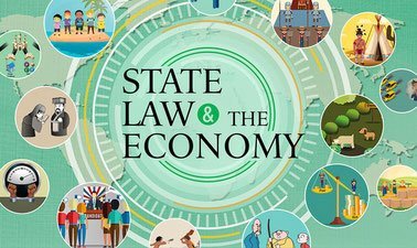 State, Law and the Economy I ed_20260346