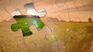 Sustainable Agri-food Supply Chain Management ed_20260369