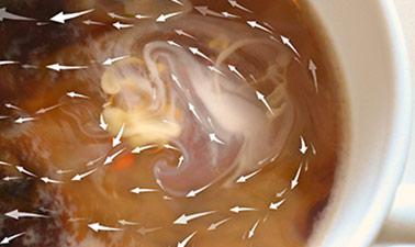 The Basics of Transport Phenomena ed_20260375