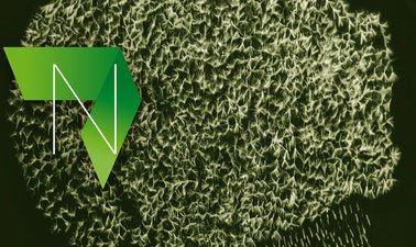 Neuroscience Reconstructed: Genetics and Development ed_20260379