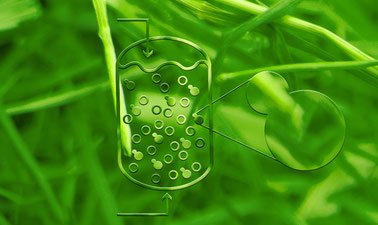 Industrial Fermentation ed_20260391