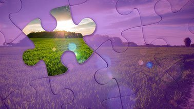 Agri-Food Systems Analysis ed_20260394