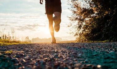 Mastering Musculoskeletal Medicine ed_20260403