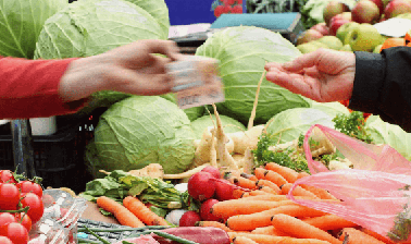 Understanding Agribusiness, Value Chains, and Consumers in Global Food Systems ed_20260423