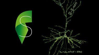 Simulation Neuroscience ed_20260465