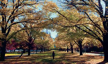 How to Survive Your PhD ed_20260497