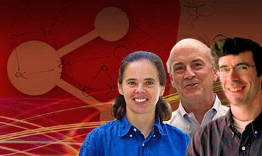 Networks, Crowds and Markets ed_20260507