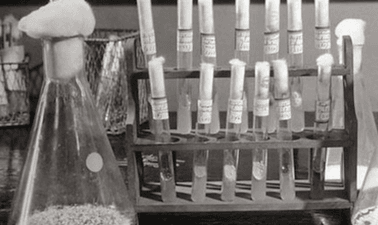 Antimicrobial Stewardship: Improving Clinical Outcomes By Optimization of Antibiotic Practices ed_20260518