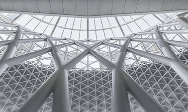 Elastic Stability and Behavior of Members ed_20260633