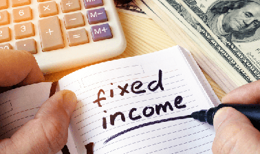 Fixed Income Portfolio Management ed_20260665